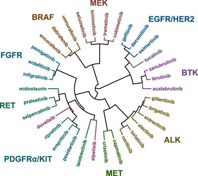 Comparative kinase and cancer cell panel profiling of kinase inhibitors approved for clinical use from 2018 to 2020